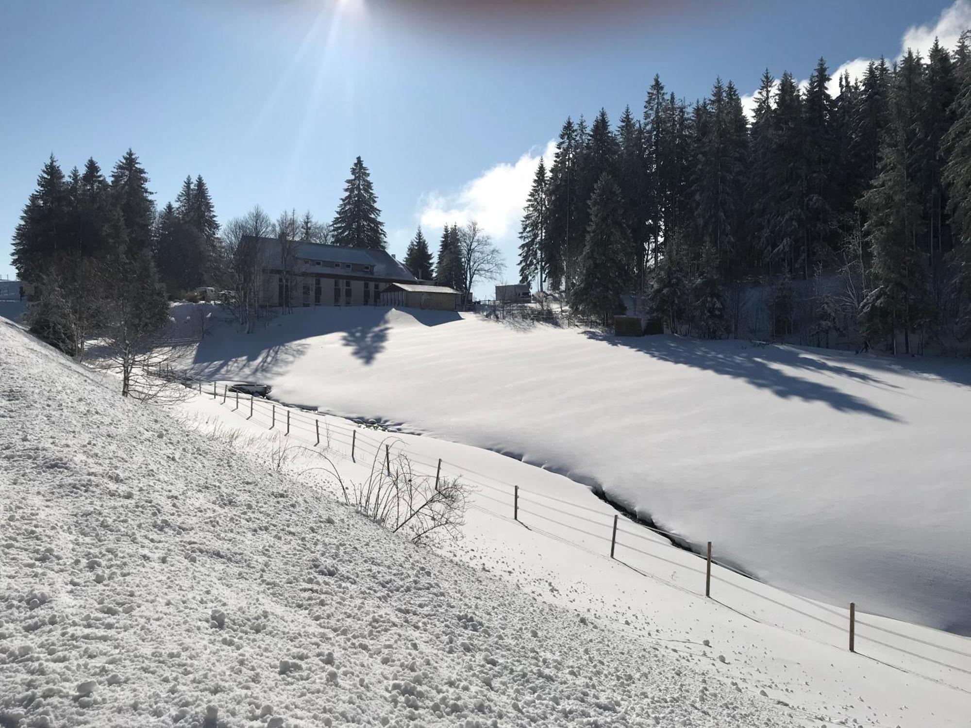 טודנאו Waldhotel Auerhahn "Hochkopfhaus" מראה חיצוני תמונה